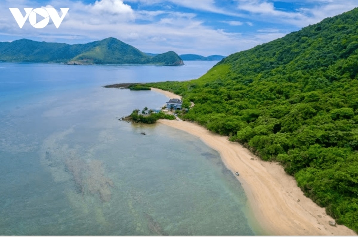 discover the unspoiled beauty of con dao s forest sea ecosystem picture 1