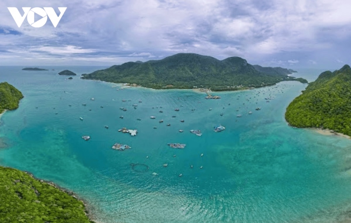 discover the unspoiled beauty of con dao s forest sea ecosystem picture 4