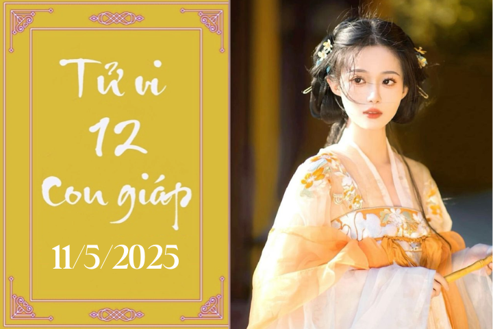 Tử vi 12 con giáp hôm nay ngày 11/5/2025: Thìn khó khăn, Ngọ tiêu cực Tử vi 12 con giáp hôm nay ngày 11/5/2025: Thìn khó khăn, Ngọ tiêu cực