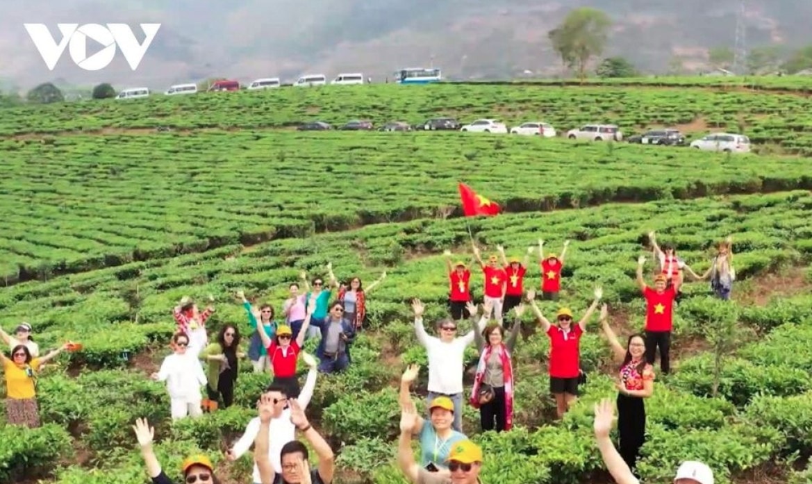 tan uyen tea hill - a green jewel hidden in northwestern mountains picture 15