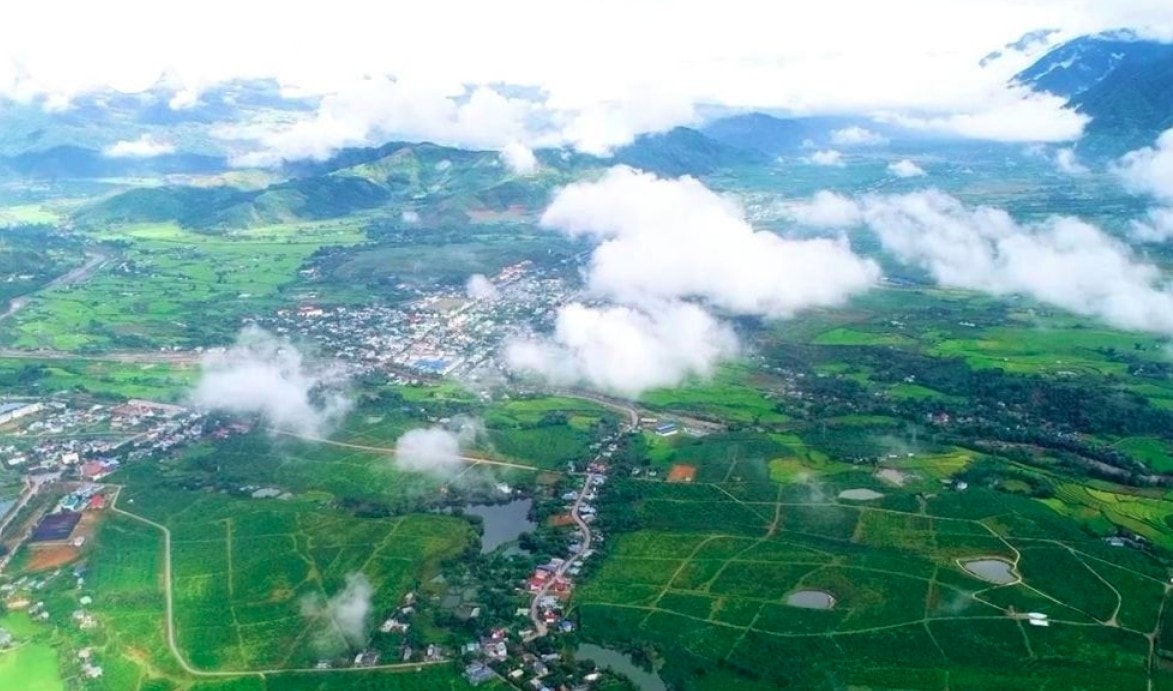 tan uyen tea hill - a green jewel hidden in northwestern mountains picture 1