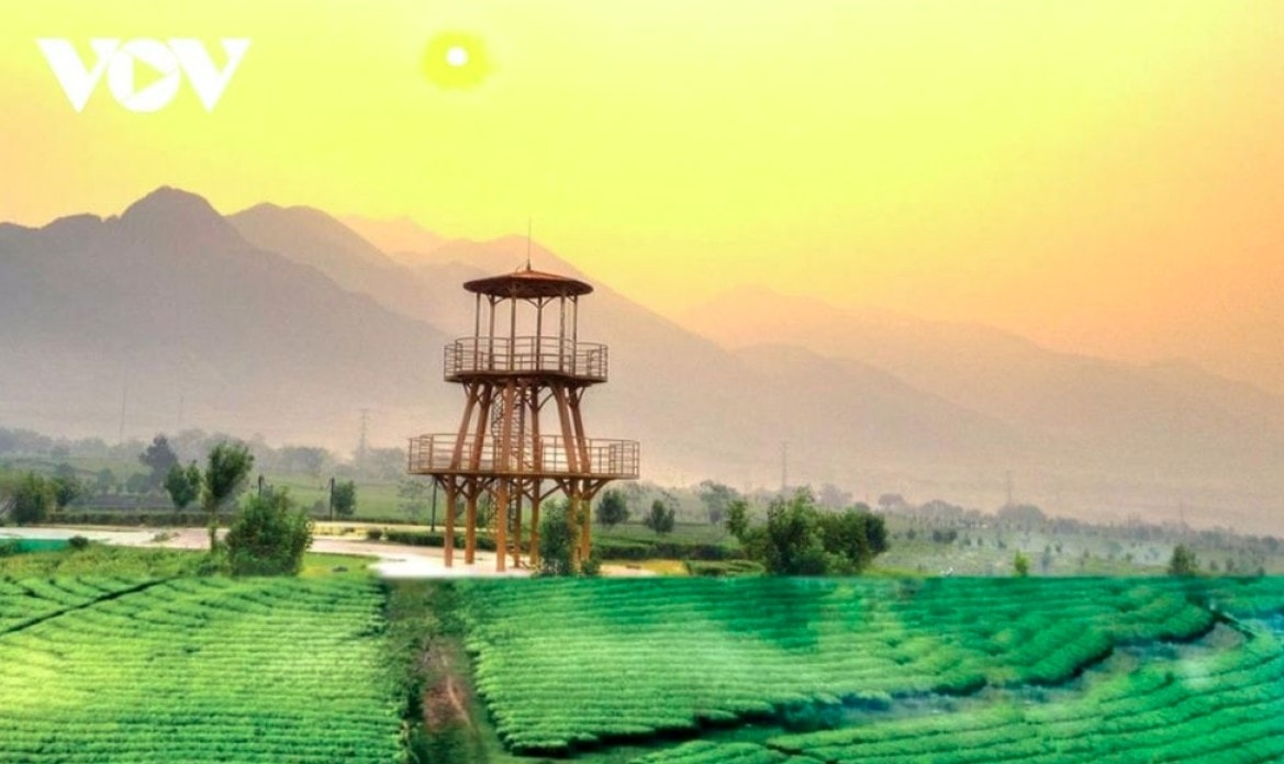 tan uyen tea hill - a green jewel hidden in northwestern mountains picture 9