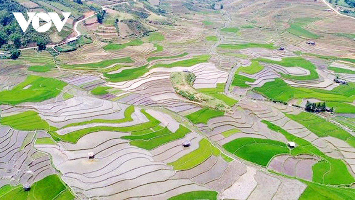 kham pha ruong bac thang mu cang chai mua nuoc do hinh anh 12