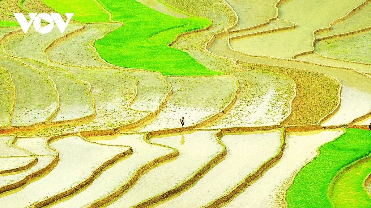 mua_nuoc_do_9.webp