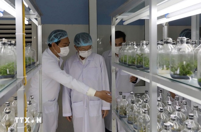 Phòng thí nghiệm của Trung tâm công nghệ sinh học thành phố Đà Nẵng. (Ảnh: Văn Dũng/TTXVN) ttxvn-nghi-quyet-57-1479.jpg