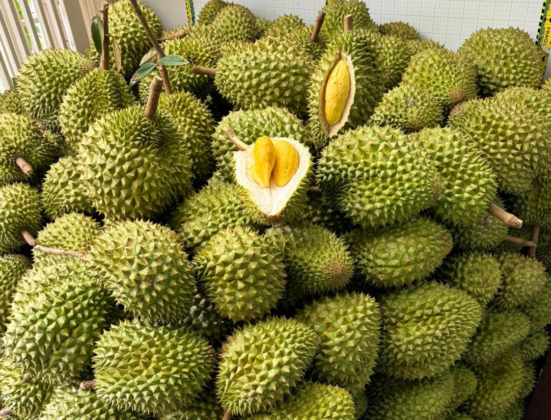Sầu riêng Việt Nam bất ngờ nhận tin vui lớn từ Trung Quốc Sầu riêng Việt Nam bất ngờ nhận tin vui lớn từ Trung Quốc