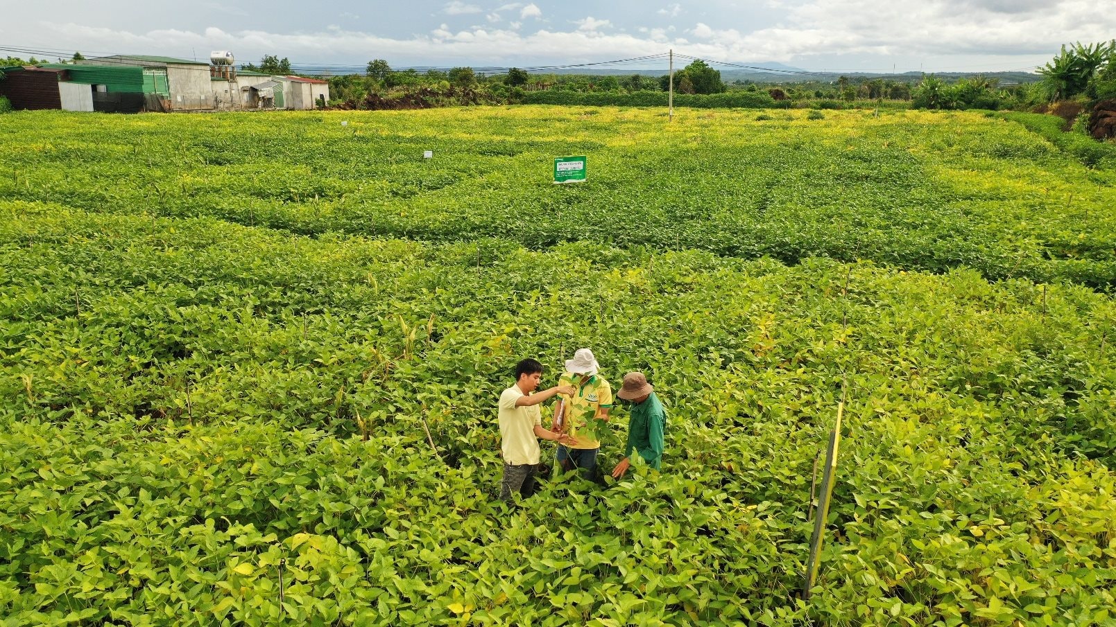 Chuyện người giữ sức khỏe cho đất