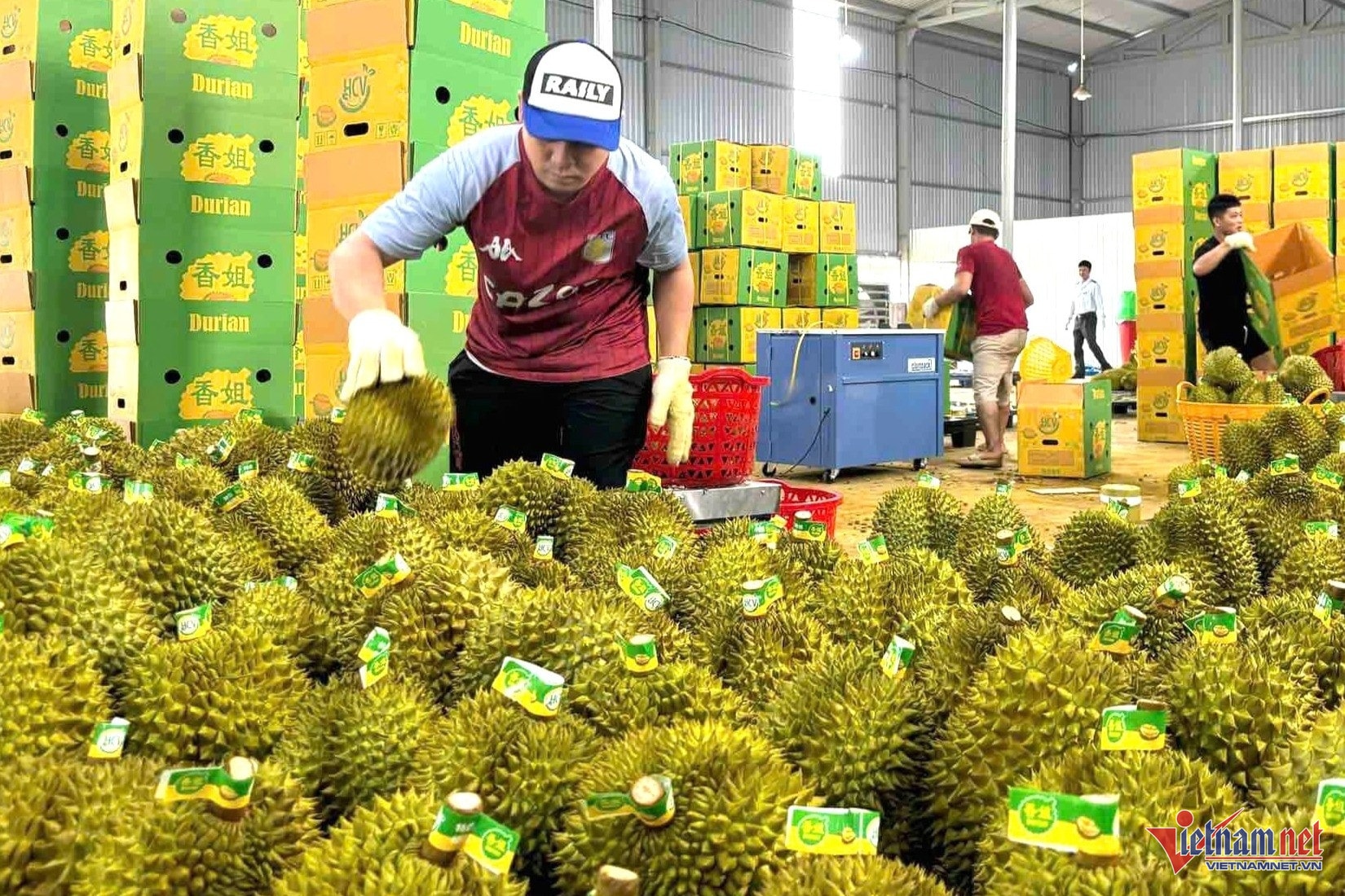 Thủ tướng chỉ đạo ‘nóng’ về xuất khẩu sầu riêng, giao công an điều tra việc gian lận Thủ tướng chỉ đạo ‘nóng’ về xuất khẩu sầu riêng, giao công an điều tra việc gian lận