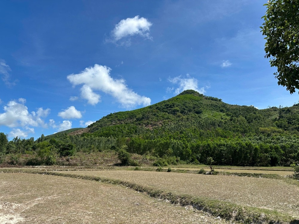 Núi Dông Bồ, thôn Diên Trường, xã Phổ Khánh. IMG_1748074792205_1748074800830.jpg