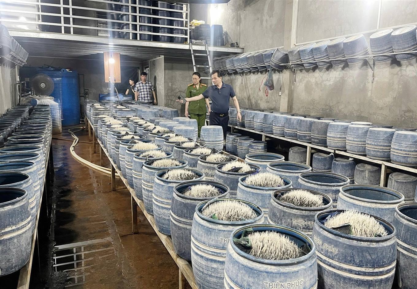 Triệt phá 2 cơ sở sản xuất, bán gần 350 tấn giá đỗ ngâm hóa chất ra thị trường Triệt phá 2 cơ sở sản xuất, bán gần 350 tấn giá đỗ ngâm hóa chất ra thị trường