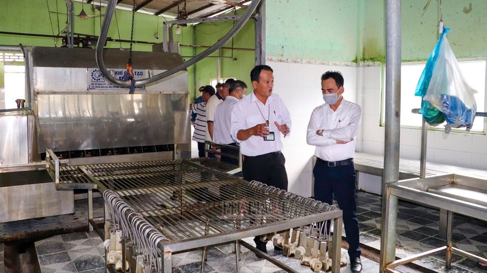 Đoàn liên ngành tỉnh Hậu Giang đến kiểm tra cơ sở giết mổ gia súc Dững Nga, nơi xuất phát của tấm ảnh heo bệnh lan truyền trên mạng xã hội. Ảnh: CHÂU ANH Vụ Công ty C.P bị tố bán thịt heo bệnh