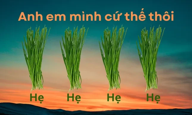 anh-em-minh-cu-the-thoi.webp