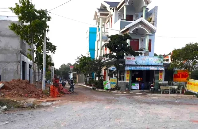 Tin lời ‘cò đất’, hàng trăm cư dân mua đất dự án điêu đứng