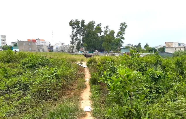 Tin lời 'cò đất', hàng trăm cư dân mua đất dự án điêu đứng ảnh 2