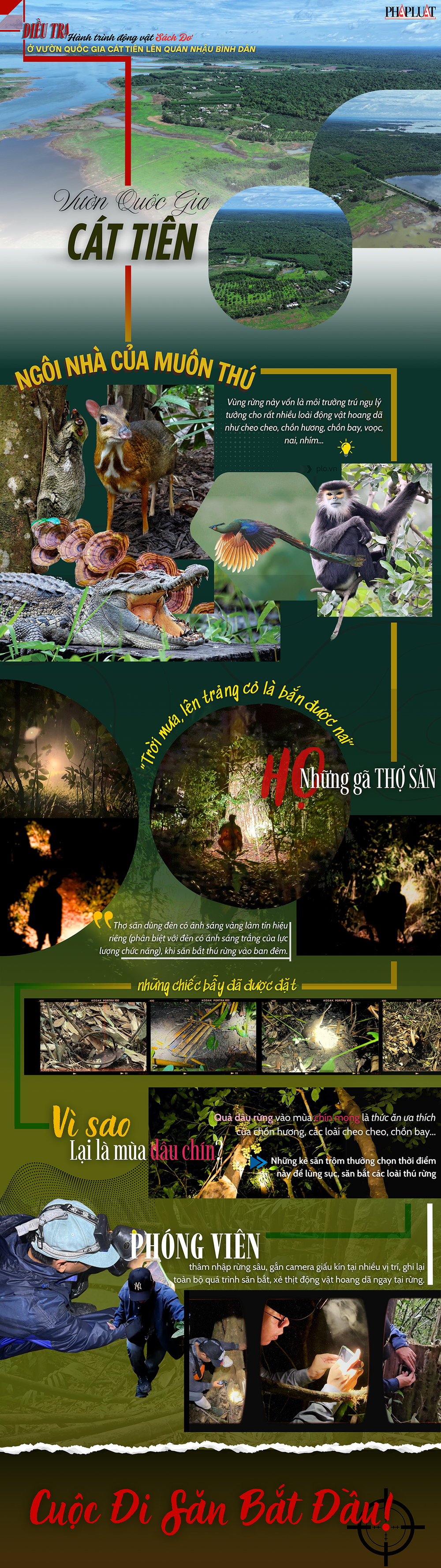 săn bắt thú rừng (1).png