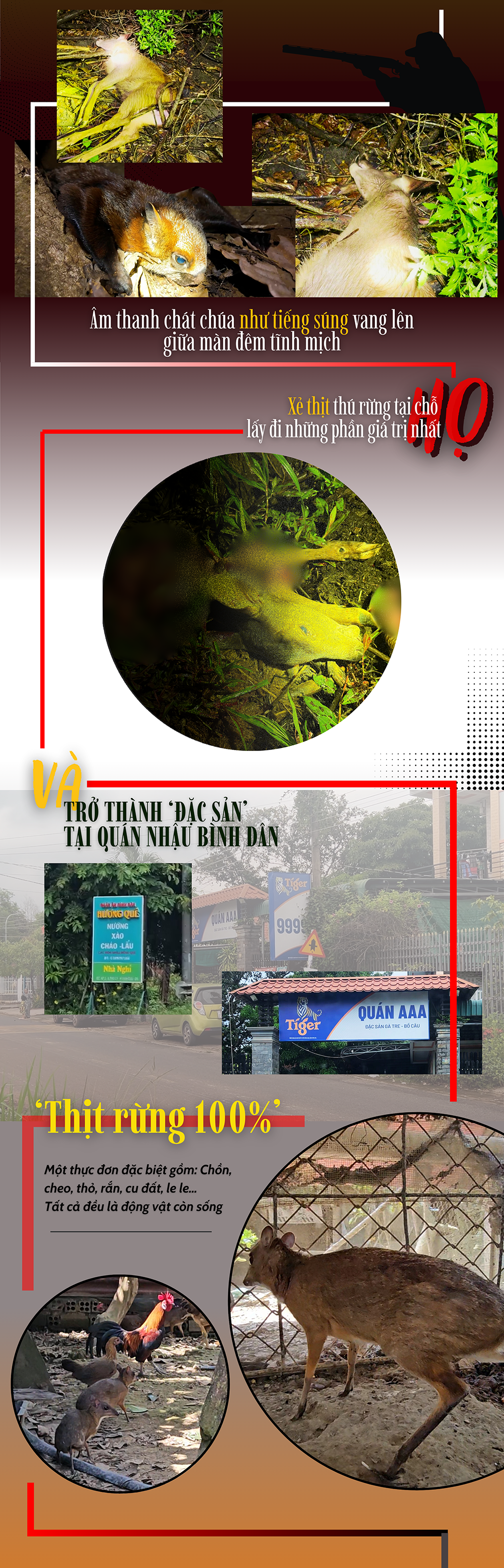 săn bắt thú rừng (2).png