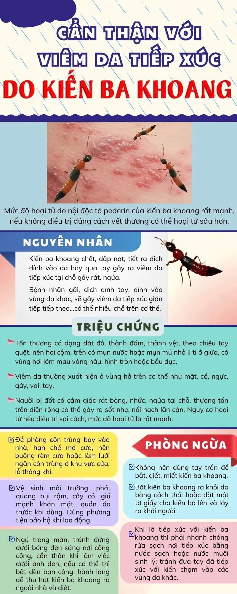 kien-ba-khoang(1).jpg