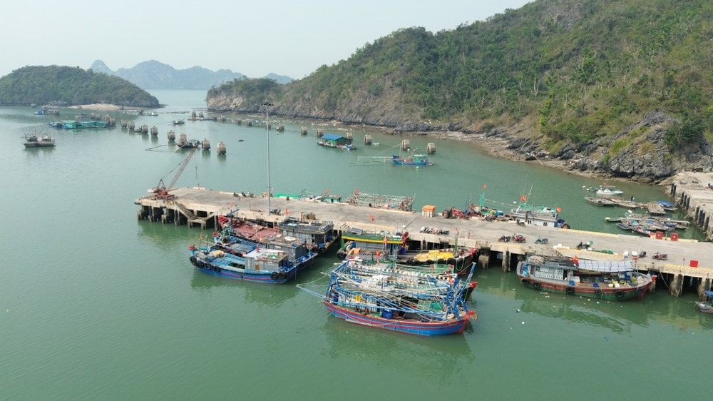 Hải Phòng, Quảng Ninh dừng các hoạt động trên biển để phòng, chống bão số 1 Hải Phòng, Quảng Ninh dừng các hoạt động trên biển để phòng, chống bão số 1