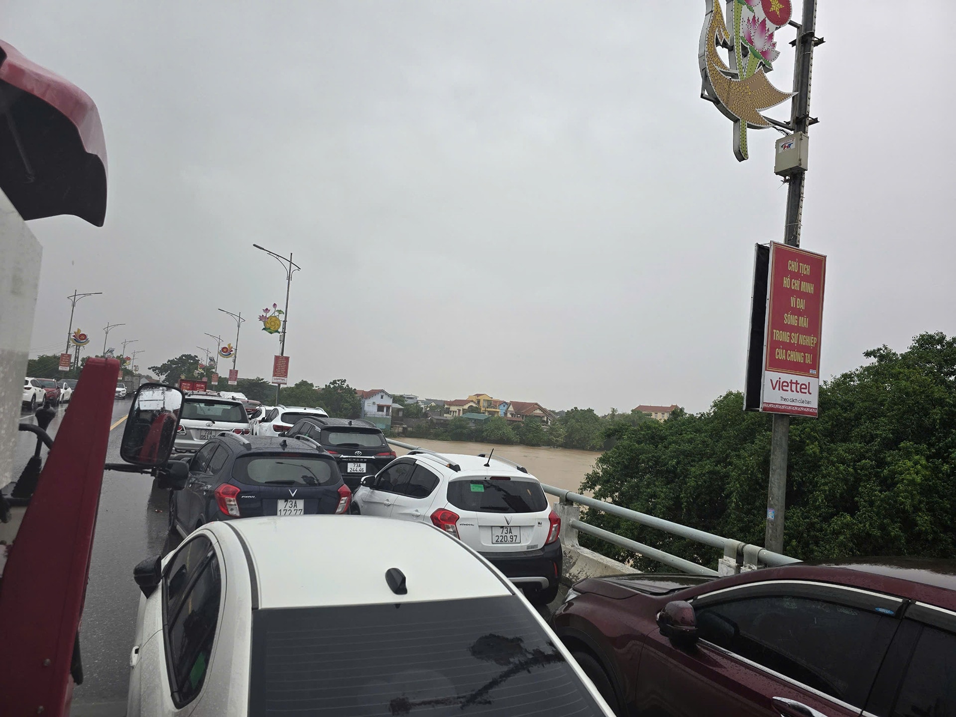 Sâm thúi4.jpg