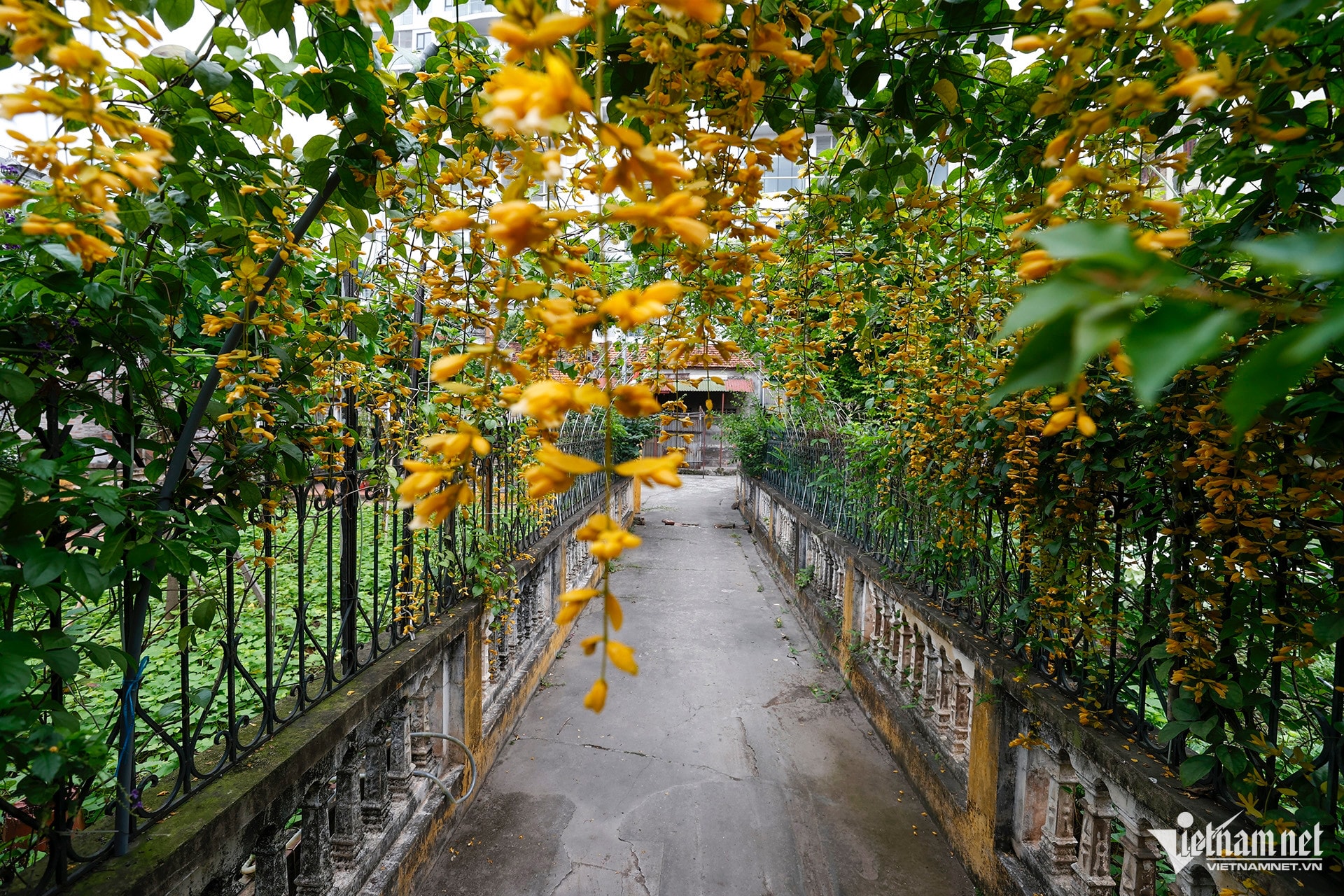 W-9 chua Ba Danh_1999.jpg