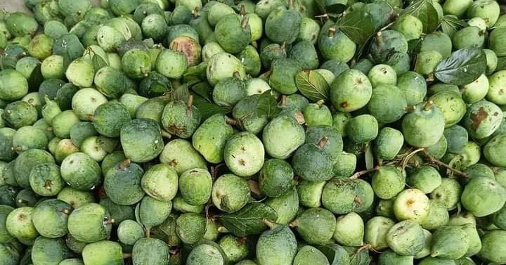 Quả lạ 'trời ban' ở Cao Bằng, vò nhẹ là có món ngon mát lạnh ngày hè