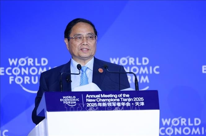 thủ tướng có đề xuất quan trọng, phát huy mạnh mẽ vai trò dẫn dắt của wef hình ảnh 1 thu tuong co de xuat quan trong, phat huy manh me vai tro dan dat cua wef hinh anh 1