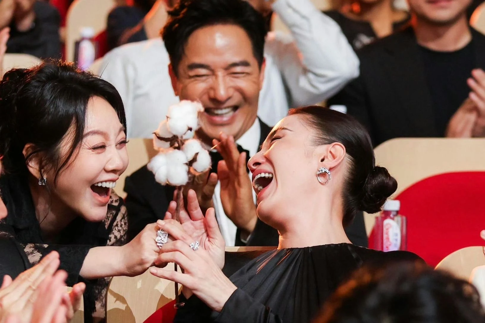 Người khiến Lưu Diệc Phi bỏ về