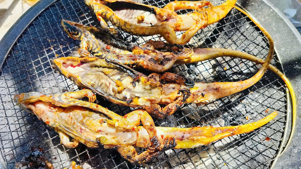 con dông đặc sản Bình Thuận 0.jpg