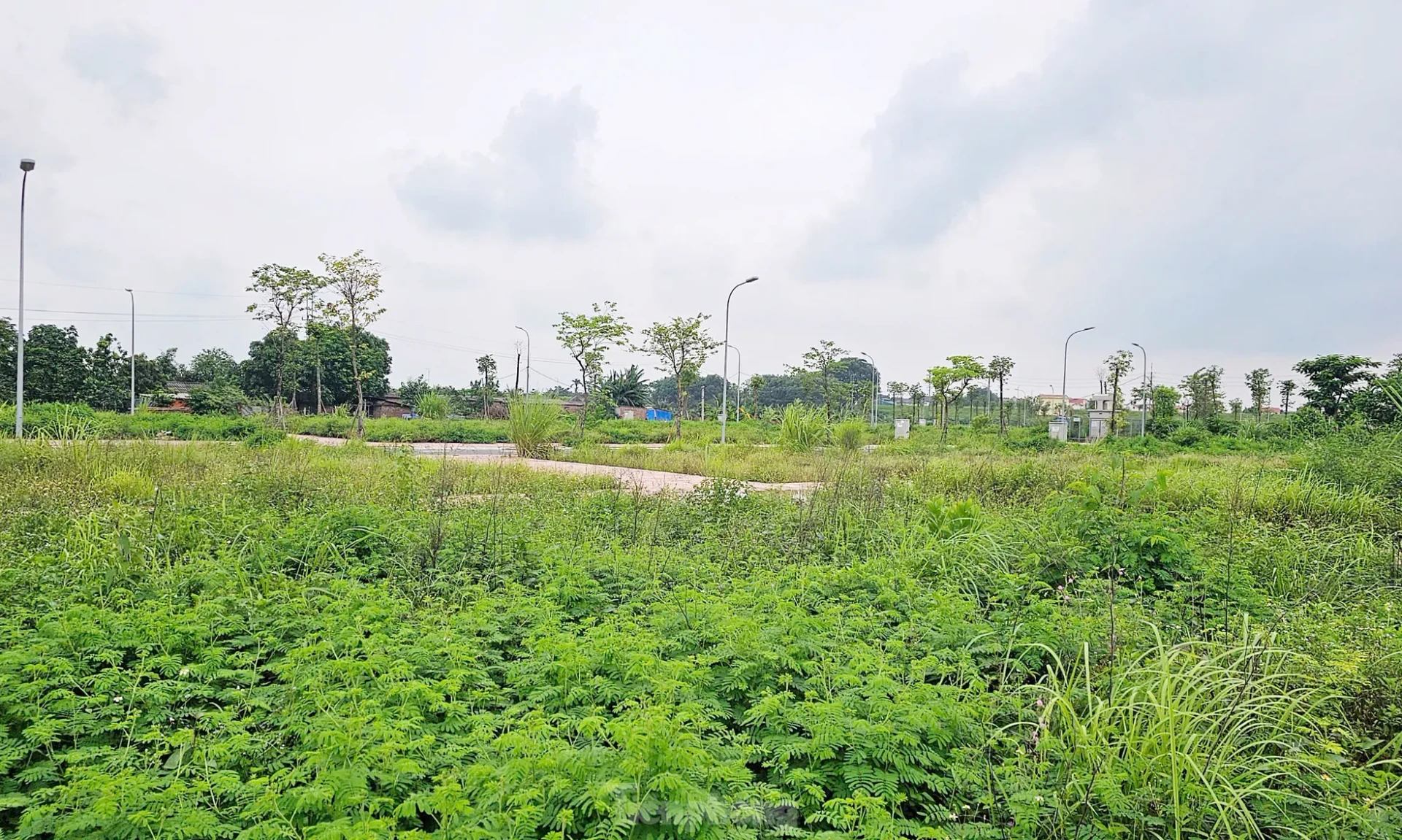 Hà Nội: Rầm rộ đấu giá đất rồi... bỏ hoang lãng phí ảnh 13