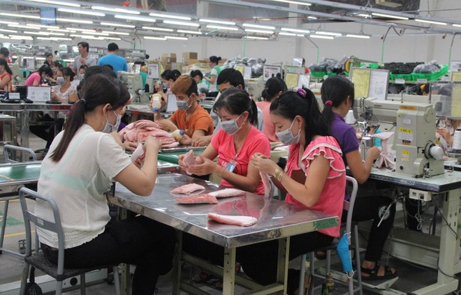 Ba nhóm ngành hàng chủ lực đang chiếm tỷ trọng áp đảo, bao gồm máy vi tính, sản phẩm điện tử và linh kiện đạt 23,2 tỷ USD, chiếm 19,4% tổng kim ngạch. Máy móc, thiết bị, dụng cụ, phụ tùng đạt 22 tỷ USD, chiếm 18,5%. Hàng dệt may đạt 16,2 tỷ USD, chiếm 13,5%. (Ảnh: Vietnam+) z4437798510669-005494eed765fdeef4937b78dd9e567b-1.jpg