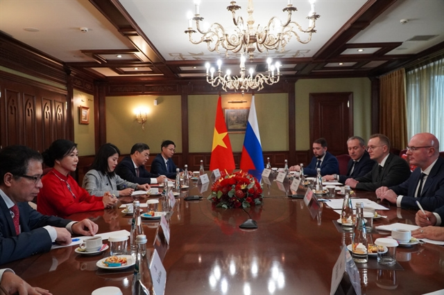 Việt Nam-Russia 70-year ties celebrated with vibrant cultural activities in Moscow