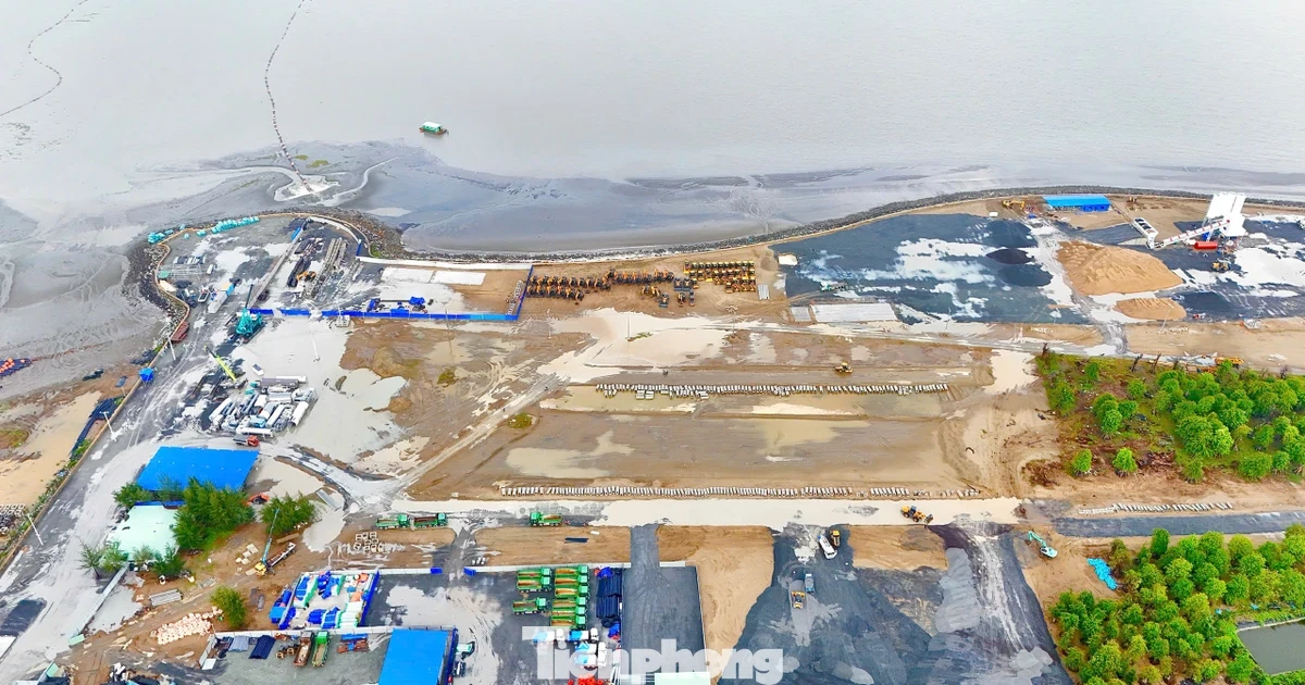 TPHCM cấm doanh nghiệp bất động sản ủy quyền đặt cọc, mua bán