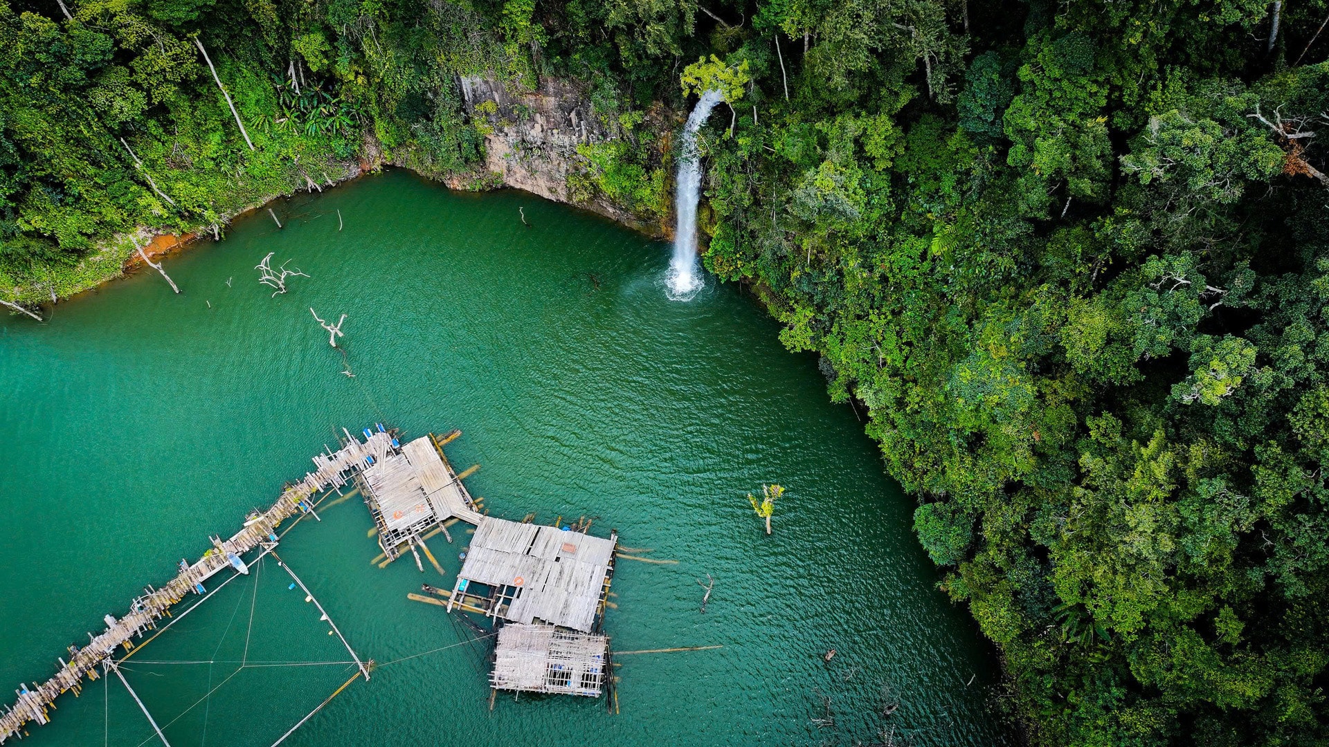 Rừng chết' giữa hồ xanh ở Măng Đen, cảnh đẹp lạ hút khách check-in