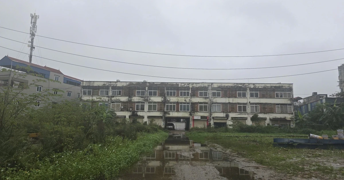 Hà Nội: Khu chợ 'đắp chiếu' 11 năm được đề xuất chuyển đổi thành nhà ở xã hội