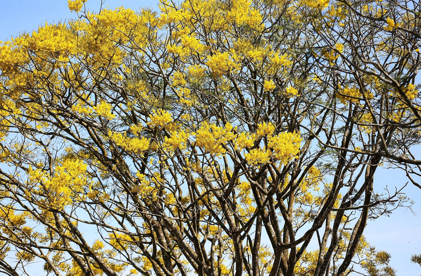 Bảo Lộc – Lâm Đồng