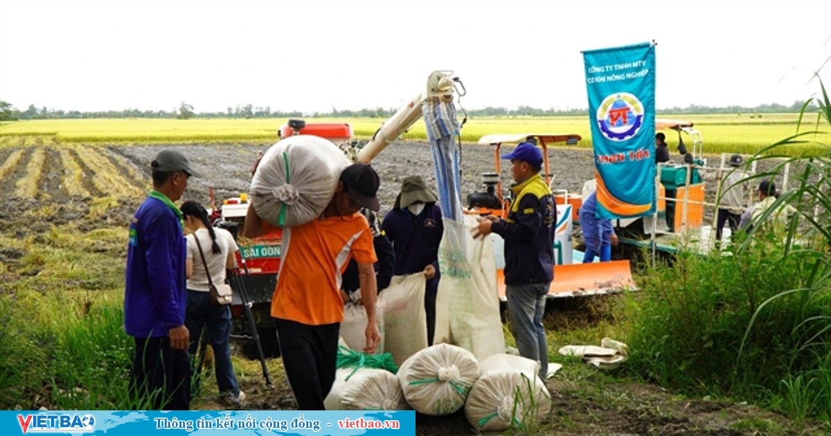 Green rice revolution reaps nationwide benefits