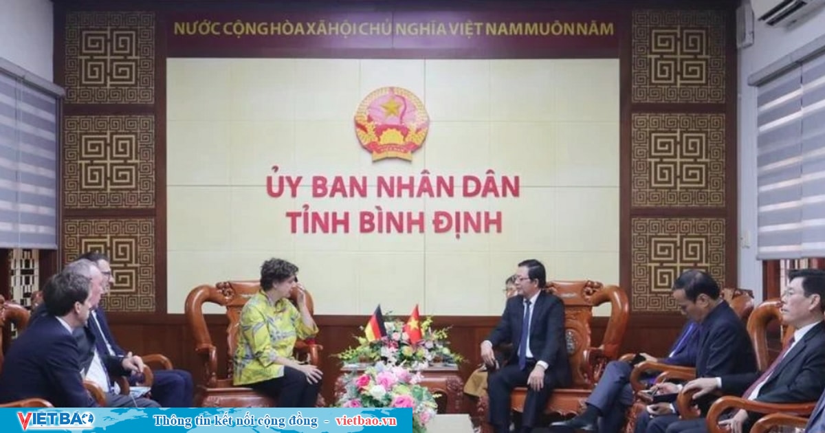 Binh Dinh seeks German investment in offshore wind power project