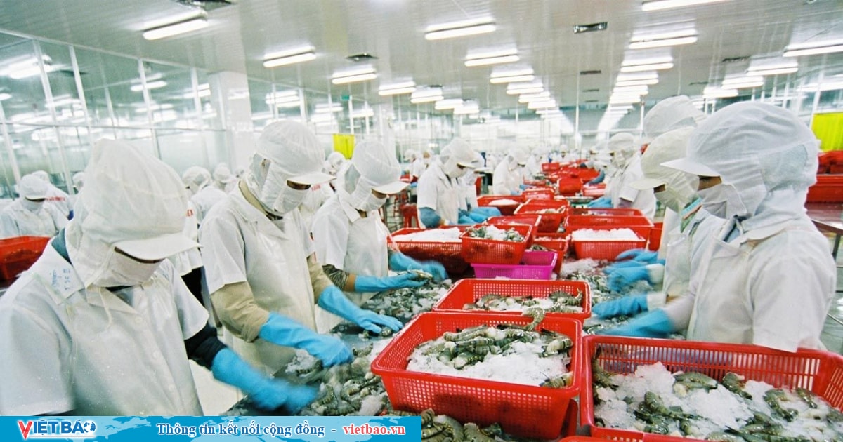 Shrimp exports likely to fetch US$4 billion this year