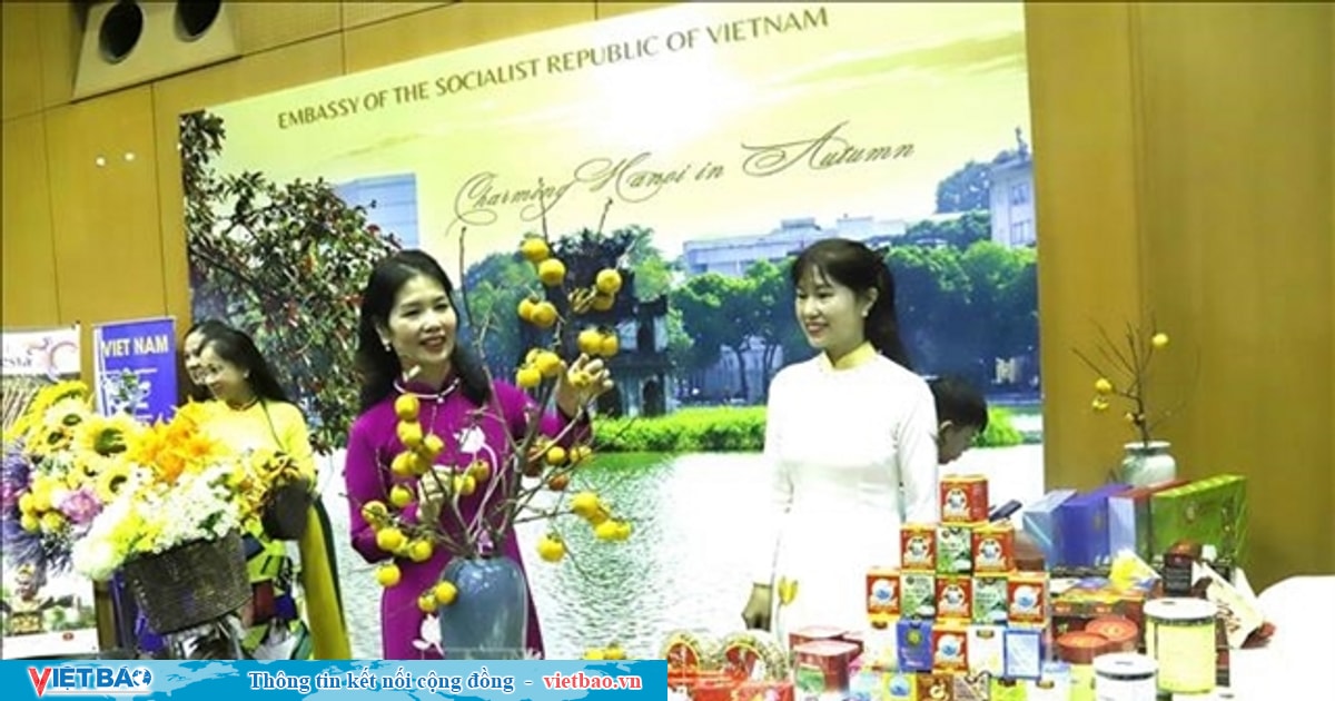 Vietnamese culture promoted in Laos