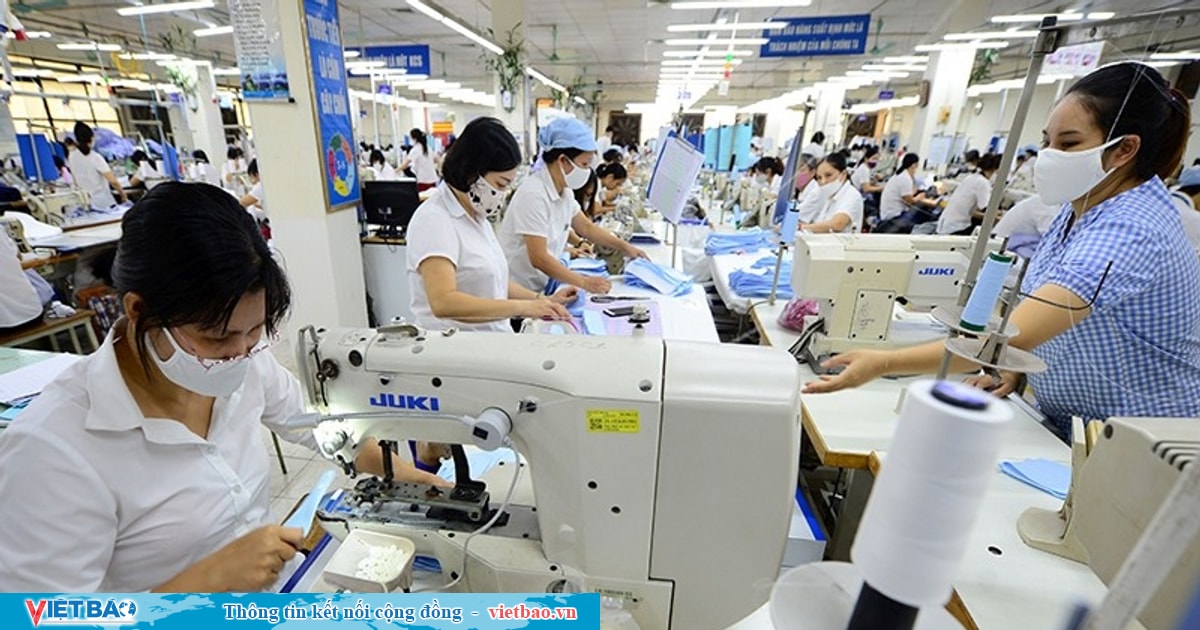 ADB forecasts Vietnamese GDP growth at 6.6% next year