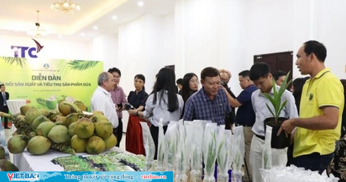 Vietnamese coconut becomes high-value export