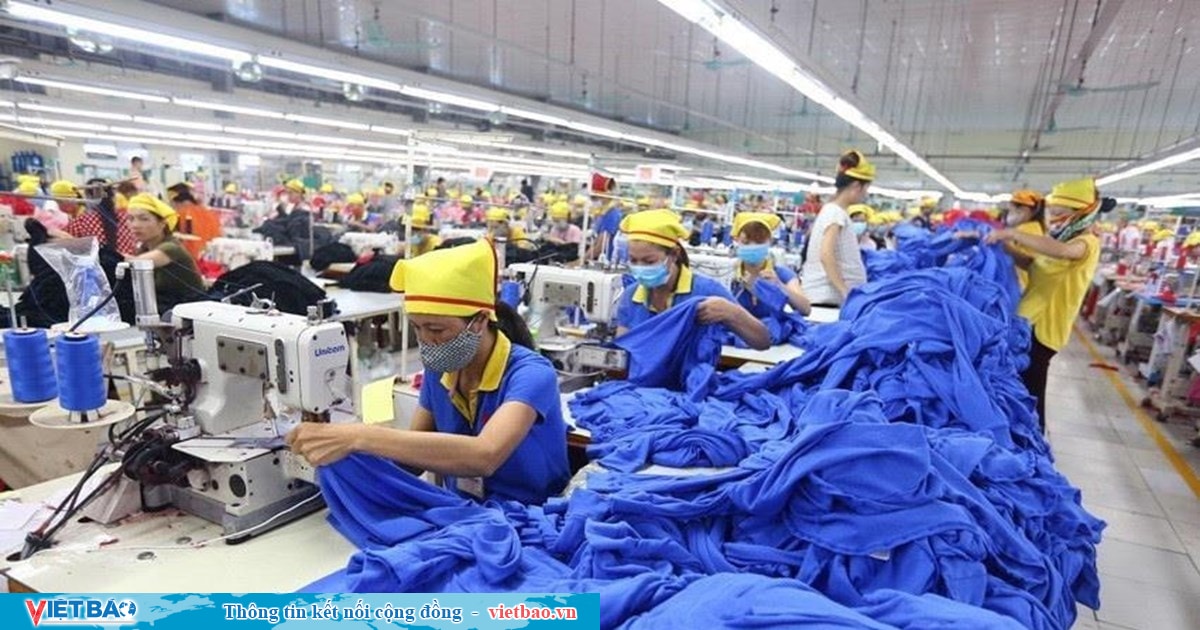 Vietnam Sees Remarkable Trade Surplus of $24.77 Billion in 2024, Driven by Soaring Import and Export Activities