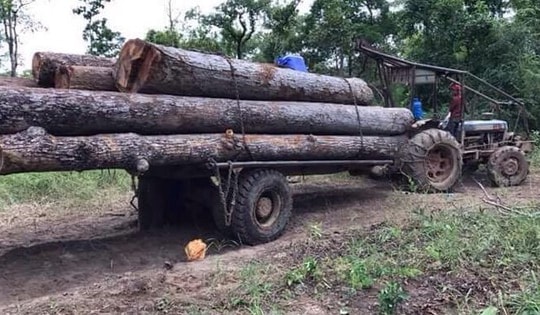 Ăn của đời con, cháu