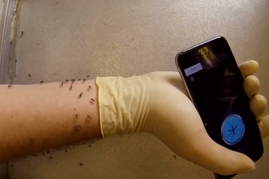 Thực hư ứng dụng 'thần thánh' giúp đuổi muỗi bằng smartphone