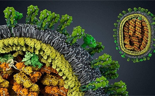 Sự tiến hóa của bệnh tật và lịch sử cuộc chiến chống virus của loài người