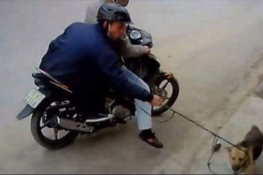 Vụ nghi trộm chó, giết người ở Ninh Bình: Bắt 2 đối tượng