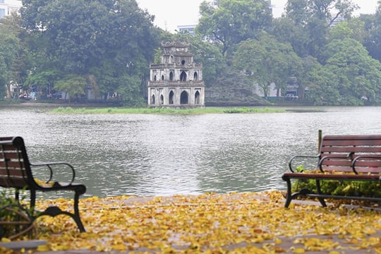 Phố phường Hà Nội đẹp nao lòng mùa sấu trút lá vàng