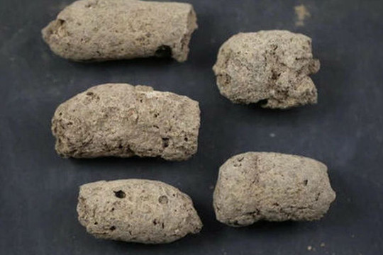 Đây là cách nhận biết một 'cục phân 7.000 năm tuổi' là của chó hay người tiền sử