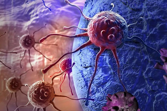 Phát hiện được các khối u ung thư có khả năng tự bảo vệ mạnh mẽ chống virus