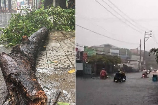 Bão số 1 gây mưa dông lớn ở Sài Gòn, nhánh cây rơi làm người bị thương